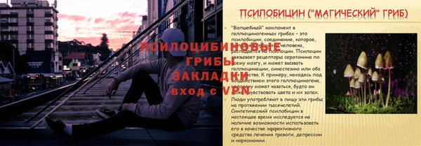 ПСИЛОЦИБИНОВЫЕ ГРИБЫ Абаза