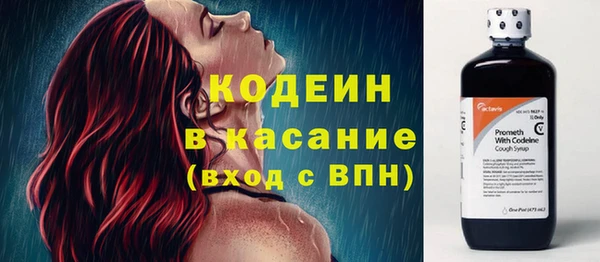 ПСИЛОЦИБИНОВЫЕ ГРИБЫ Абаза