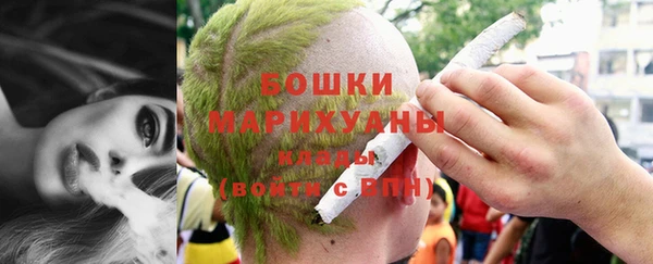 ПСИЛОЦИБИНОВЫЕ ГРИБЫ Абаза